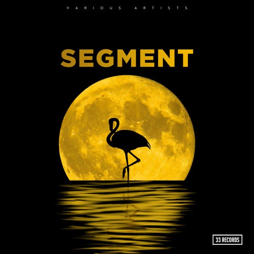 Segment
