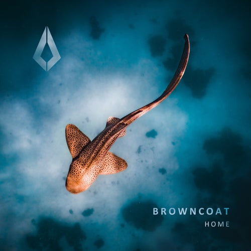  Browncoat - Home (2024) 