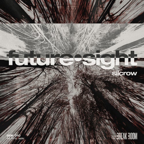 future·sight