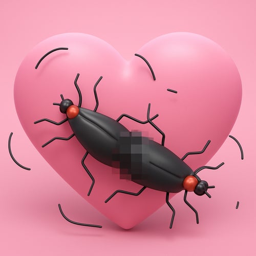 Luvbug