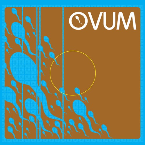 Spanish Kebab / Parasol