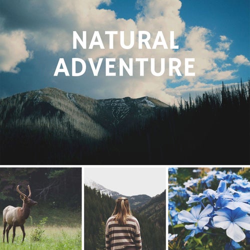 Natural Adventure