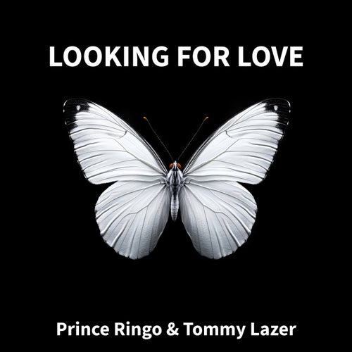 Looking for Love