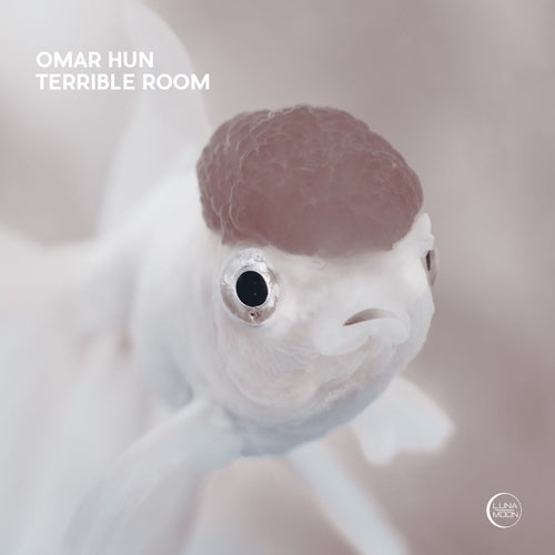 Terrible Room