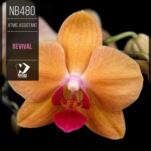 Revival