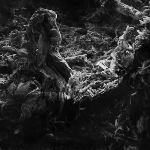 Cover art for Unpredictability Of Probability (Including Dasha Rush Remix)