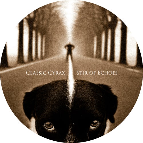 Stir of Echoes