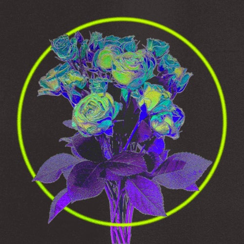 Cover art for Dreaming of a Disco