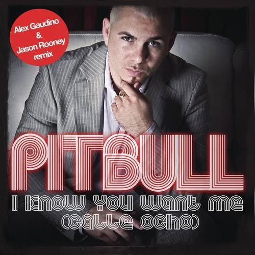 I Know You Want Me (Calle Ocho) (Alex Gaudino & Jason Rooney Remix)