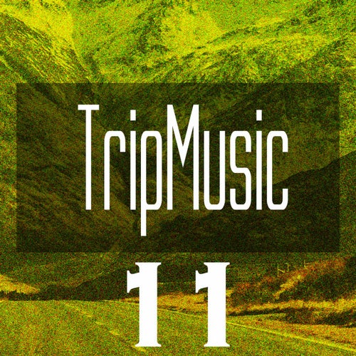 TripMusic 11