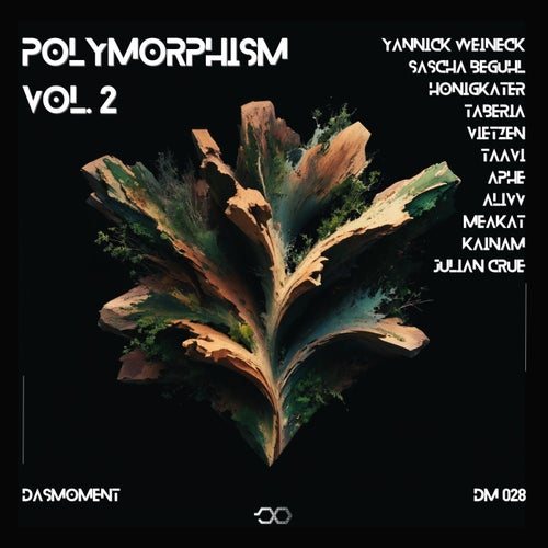 Polymorphism, Vol. 2