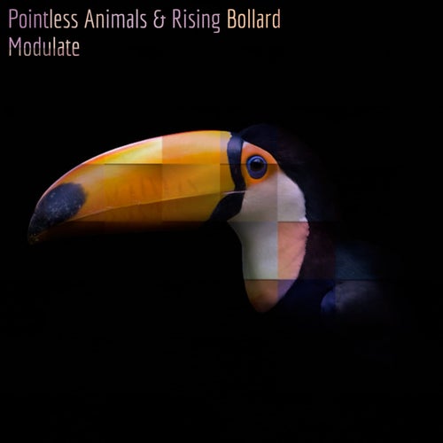 Cover art for Modulate