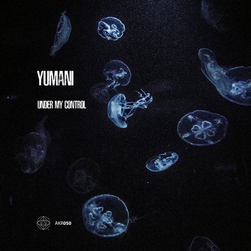 Cover art for Under My Control