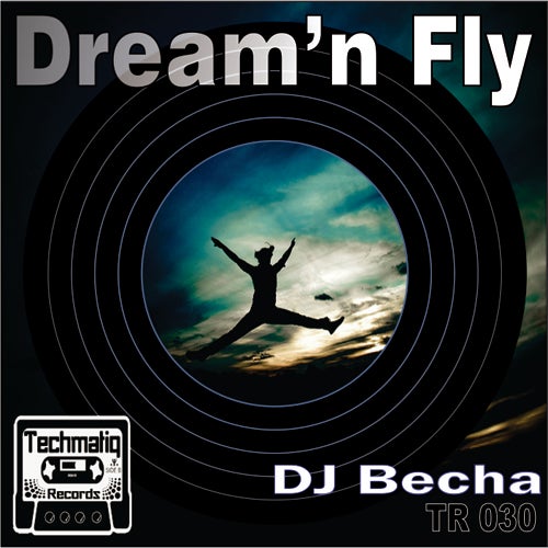 Dream'n Fly