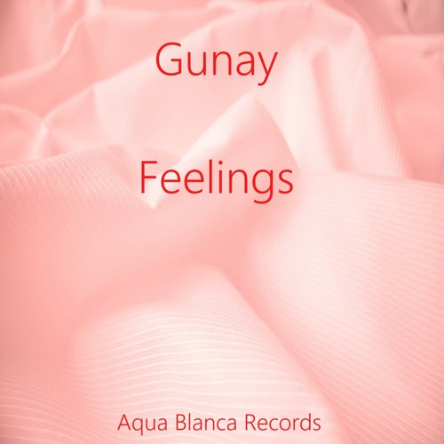 Feelings