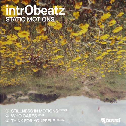 Static Motions