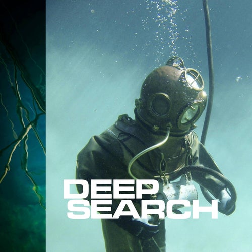Deep Search