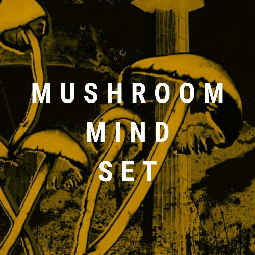 Mushroom Mindset