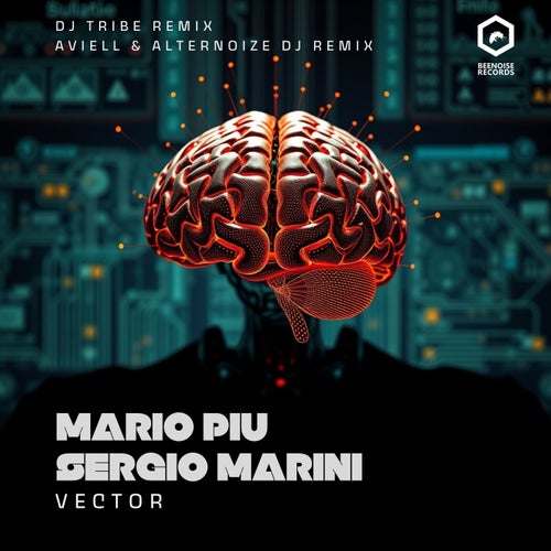Vector