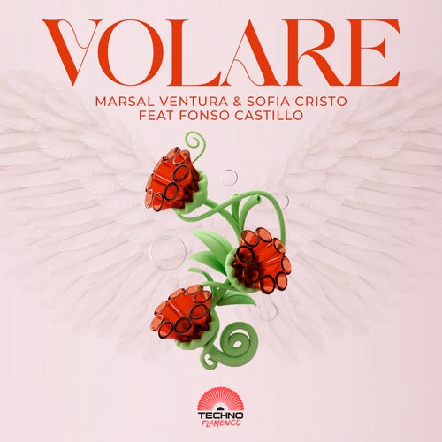 Volare