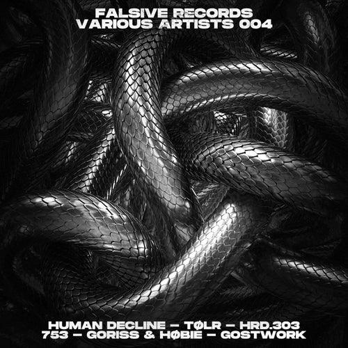 Cover art for Falsive Records VA004