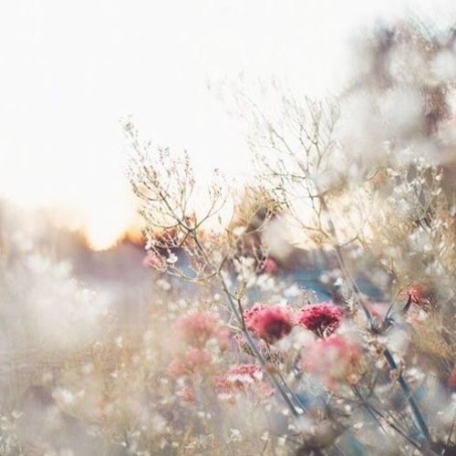 March Bliss 2021