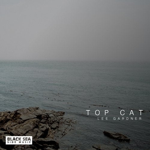 Cover art for Top Cat