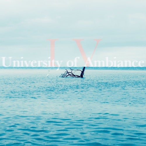 University of Ambiance, Vol. 4