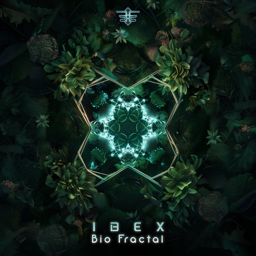 VA - Ibex - Bio Fractal (2024) (MP3)