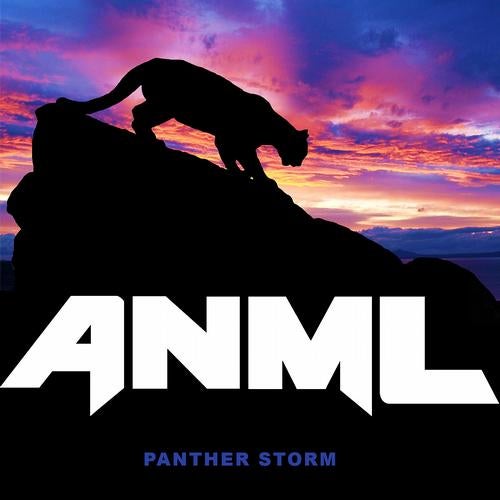 Panther Storm