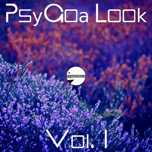 PsyGoa Look, Vol. 1