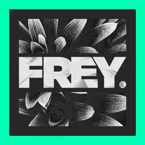 FREY JANUARY CHART