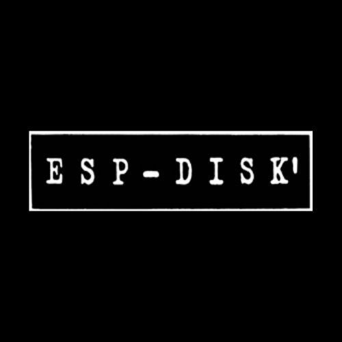 ESP Disk'