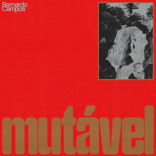 Cover art for Mutável