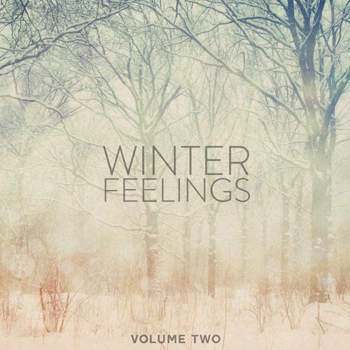 Winter Feelings, Vol. 2 (Get In The Mood Again, Wonderful Deep House Tunes For A Chilled Day At Home)