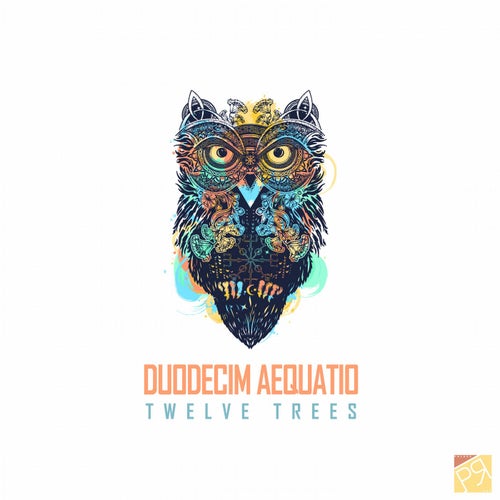 Duodecim Aequatio