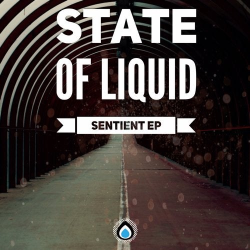 State Of Liquid - Sentient 2019 [EP] 2019