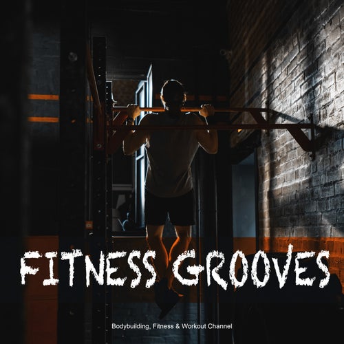 Cover art for Fitness Grooves
