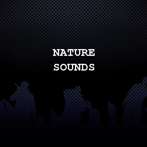 Nature Sounds / EMPIRE