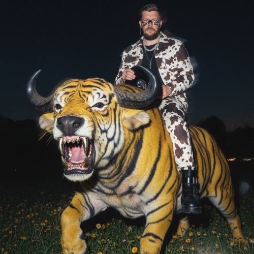 Breathe In, Let Go / November 2025