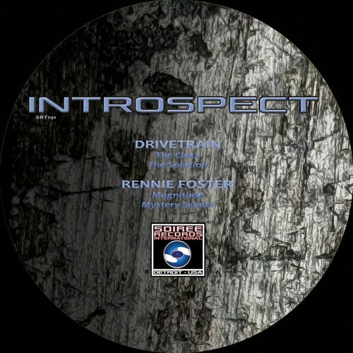 Introspect