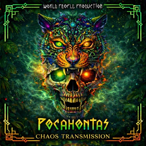 Chaos Transmission
