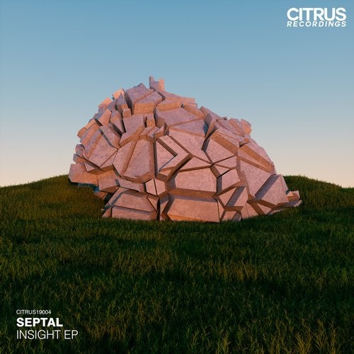 Septal - Insight 2019 [EP]
