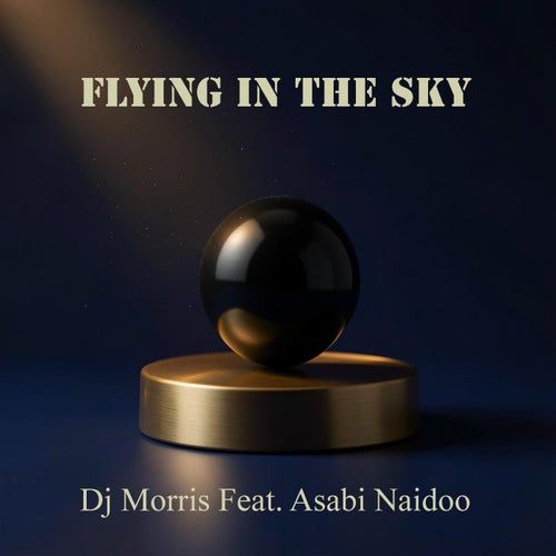 Flying in the Sky