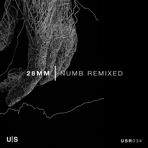 Numb - Remixed