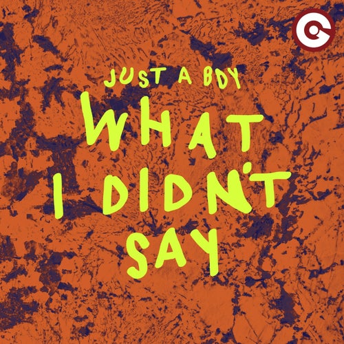 What I Didn't Say  (Extended Mix)