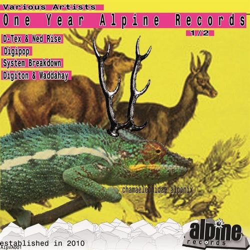 One Year Alpine Records 1_2