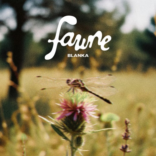 Faune