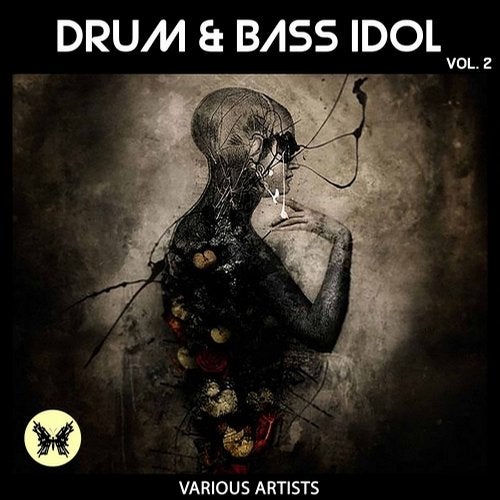 Cover art for Drum & Bass Idol, Vol. 2