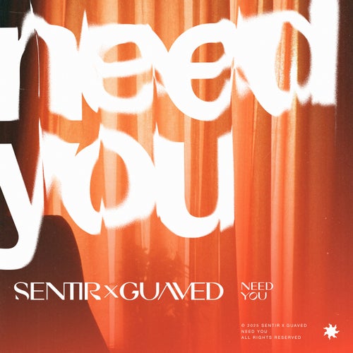 Need You (Extended)